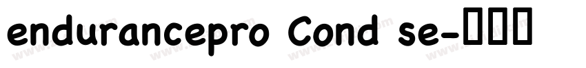 endurancepro Cond se字体转换